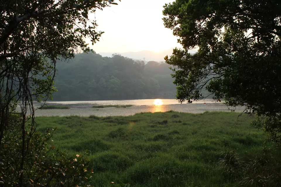 Photo of Road Trip to Wayanad,Kerala and Ooty by Anil Kumar Chavala