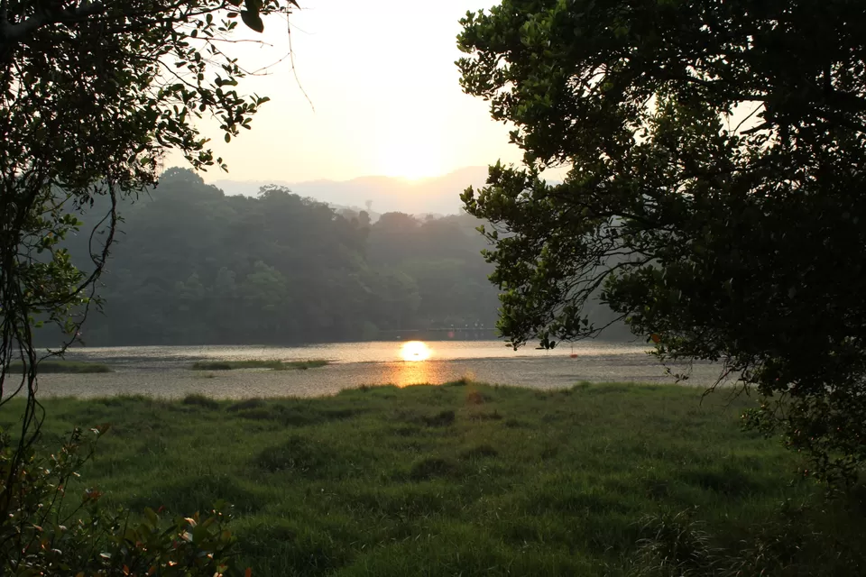 Photo of Road Trip to Wayanad,Kerala and Ooty by Anil Kumar Chavala