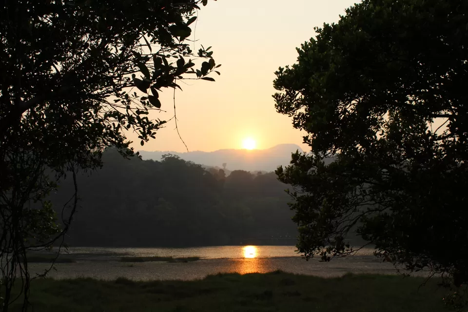 Photo of Road Trip to Wayanad,Kerala and Ooty by Anil Kumar Chavala