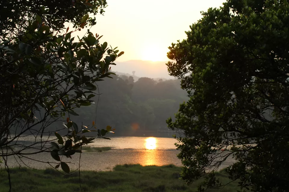 Photo of Road Trip to Wayanad,Kerala and Ooty by Anil Kumar Chavala