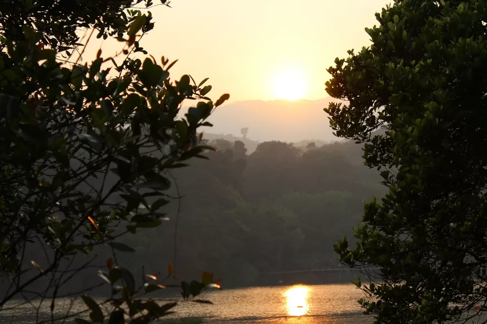 Photo of Road Trip to Wayanad,Kerala and Ooty by Anil Kumar Chavala
