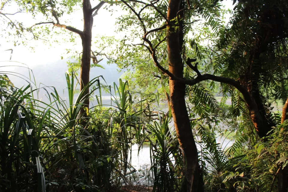 Photo of Road Trip to Wayanad,Kerala and Ooty by Anil Kumar Chavala