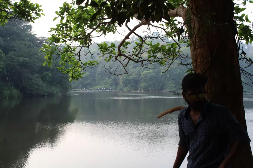 Photo of Road Trip to Wayanad,Kerala and Ooty by Anil Kumar Chavala