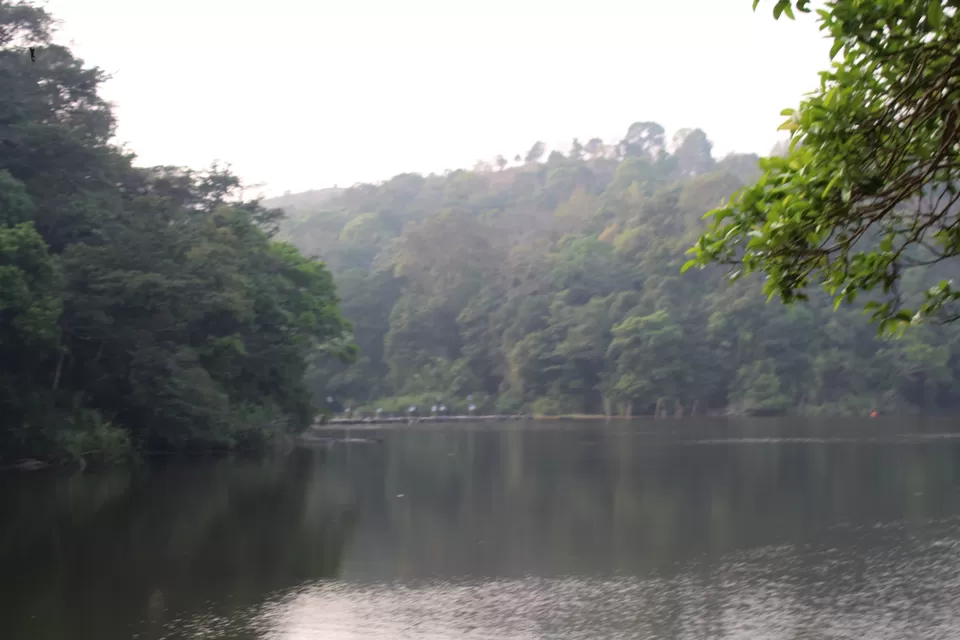 Photo of Road Trip to Wayanad,Kerala and Ooty by Anil Kumar Chavala
