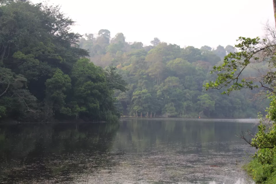 Photo of Road Trip to Wayanad,Kerala and Ooty by Anil Kumar Chavala