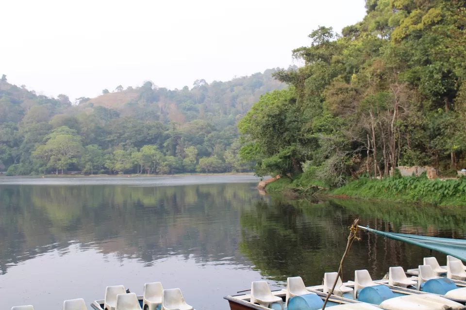 Photo of Road Trip to Wayanad,Kerala and Ooty by Anil Kumar Chavala