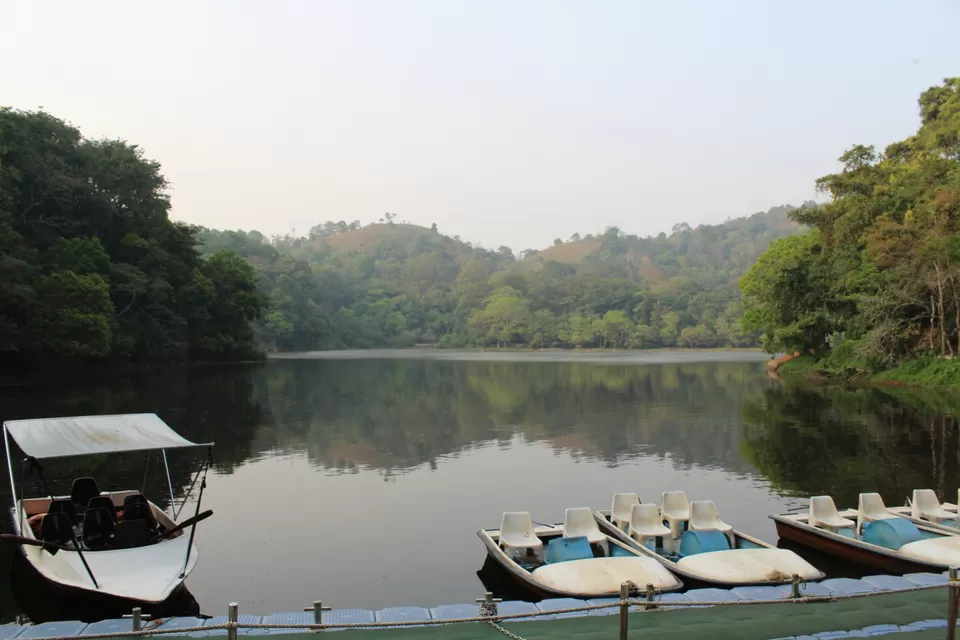 Photo of Road Trip to Wayanad,Kerala and Ooty by Anil Kumar Chavala