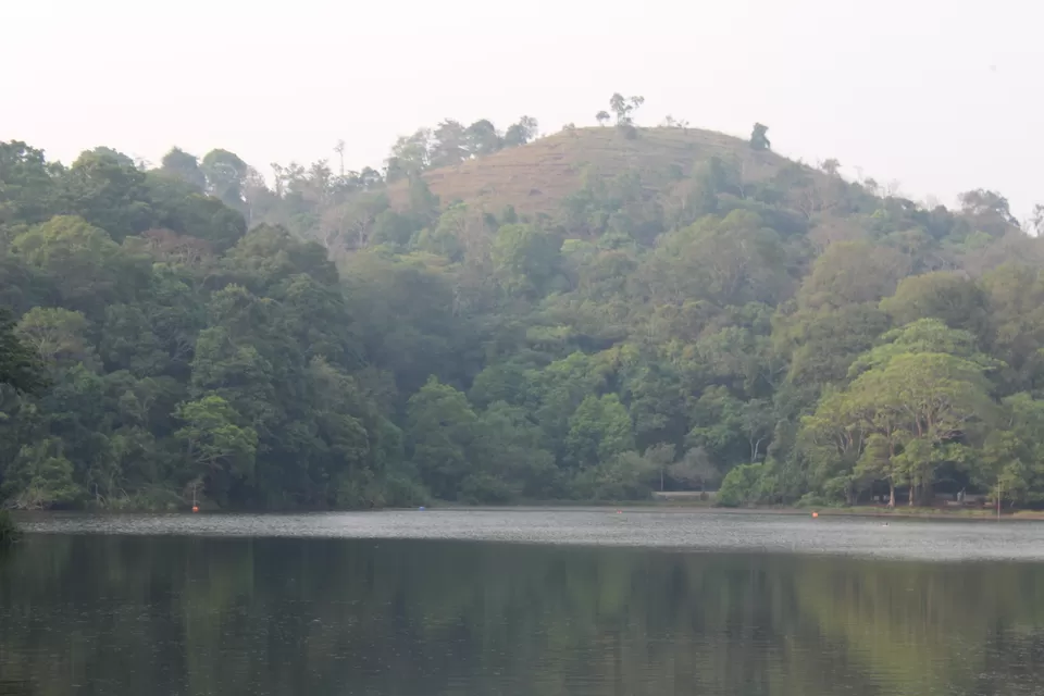 Photo of Road Trip to Wayanad,Kerala and Ooty by Anil Kumar Chavala