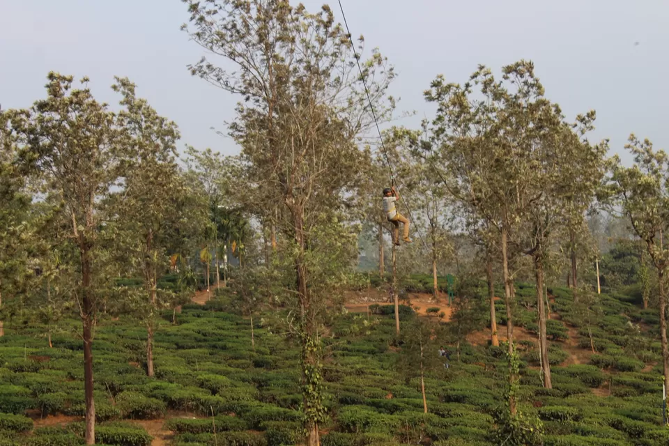 Photo of Road Trip to Wayanad,Kerala and Ooty by Anil Kumar Chavala