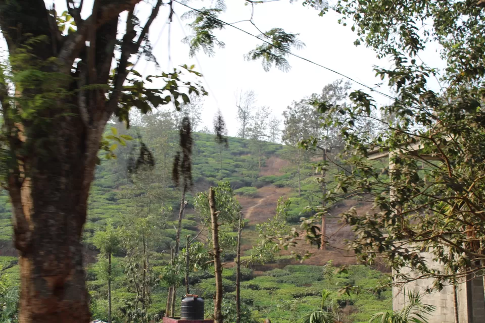 Photo of Road Trip to Wayanad,Kerala and Ooty by Anil Kumar Chavala