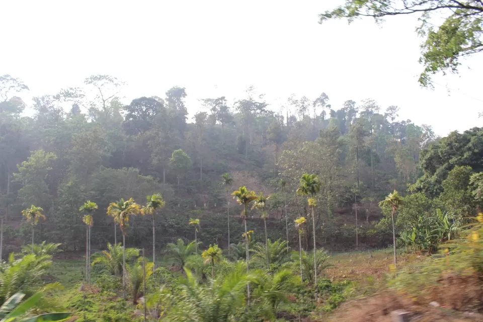 Photo of Road Trip to Wayanad,Kerala and Ooty by Anil Kumar Chavala