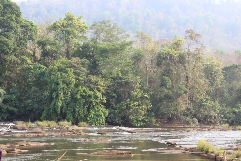 Photo of Road Trip to Wayanad,Kerala and Ooty by Anil Kumar Chavala