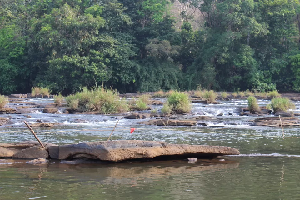Photo of Road Trip to Wayanad,Kerala and Ooty by Anil Kumar Chavala