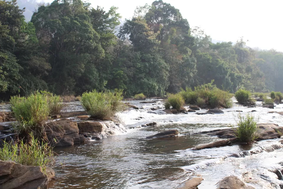 Photo of Road Trip to Wayanad,Kerala and Ooty by Anil Kumar Chavala