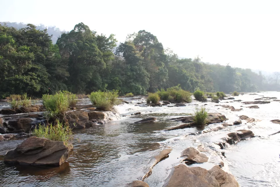 Photo of Road Trip to Wayanad,Kerala and Ooty by Anil Kumar Chavala