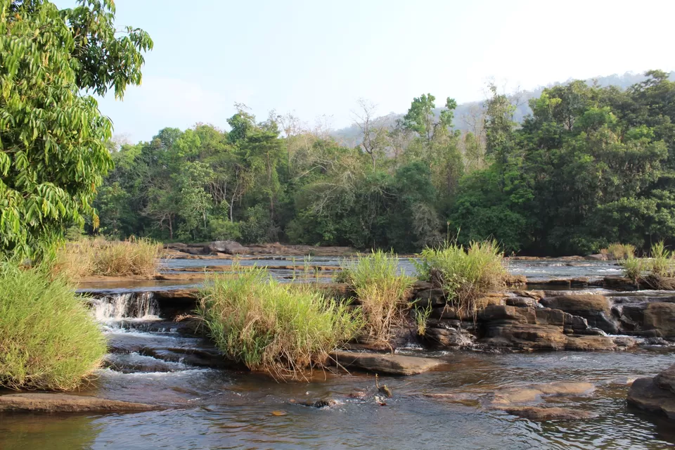 Photo of Road Trip to Wayanad,Kerala and Ooty by Anil Kumar Chavala