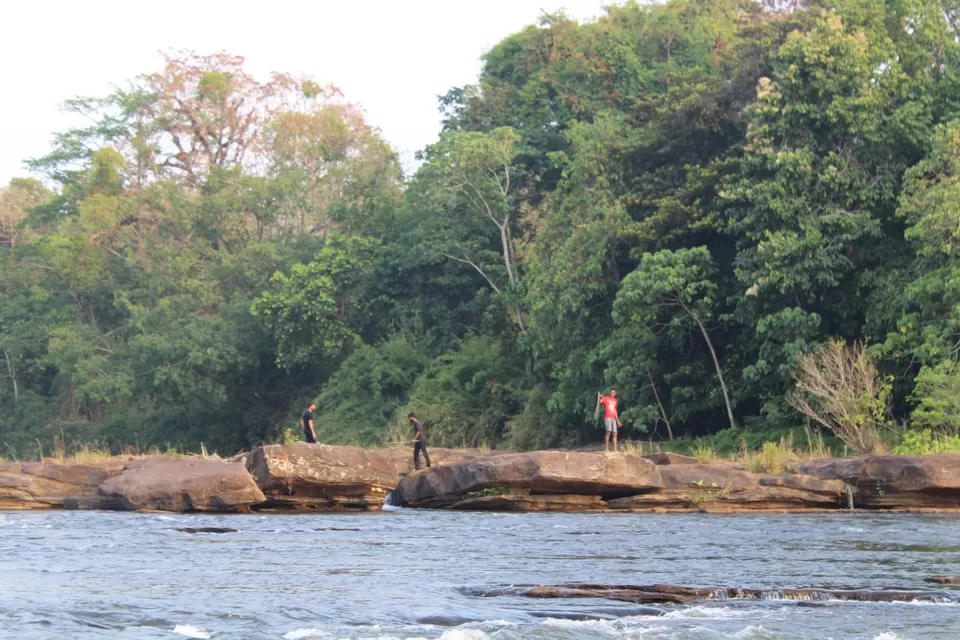 Photo of Road Trip to Wayanad,Kerala and Ooty by Anil Kumar Chavala