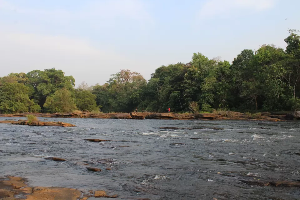 Photo of Road Trip to Wayanad,Kerala and Ooty by Anil Kumar Chavala