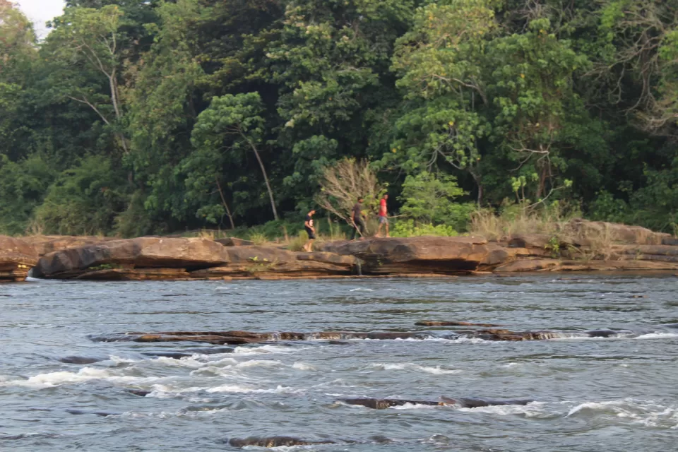 Photo of Road Trip to Wayanad,Kerala and Ooty by Anil Kumar Chavala