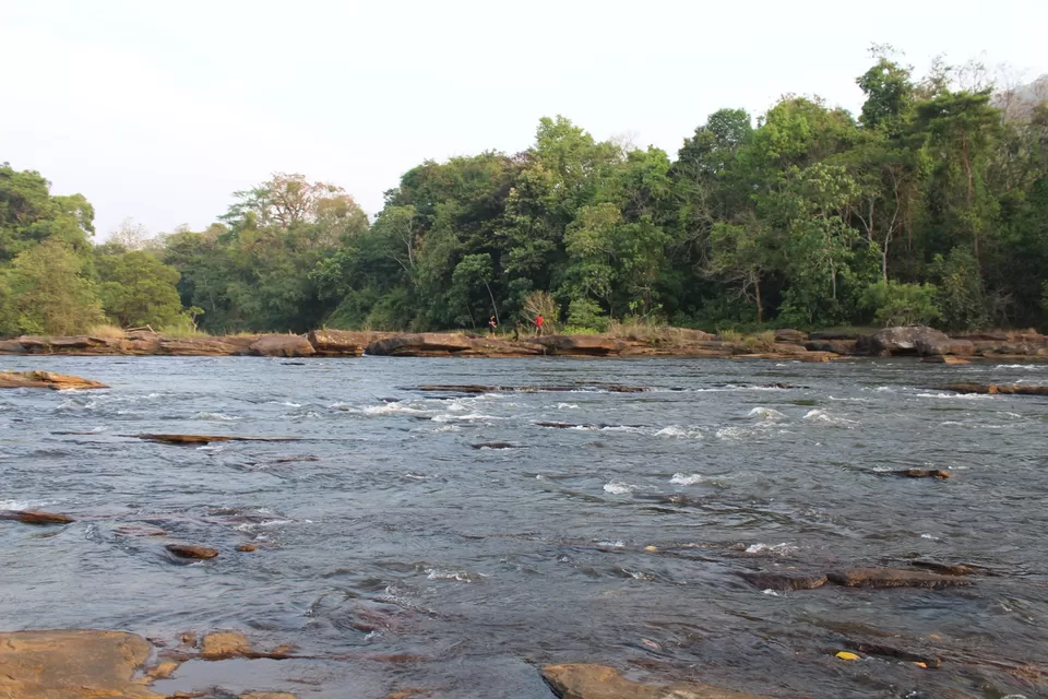 Photo of Road Trip to Wayanad,Kerala and Ooty by Anil Kumar Chavala