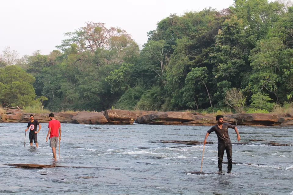 Photo of Road Trip to Wayanad,Kerala and Ooty by Anil Kumar Chavala