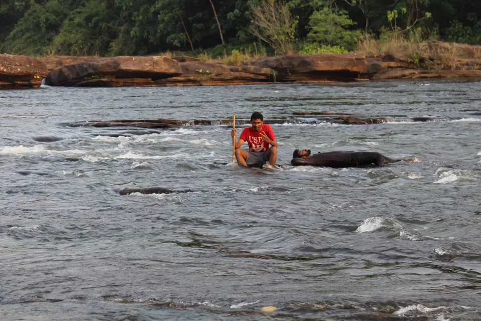 Photo of Road Trip to Wayanad,Kerala and Ooty by Anil Kumar Chavala