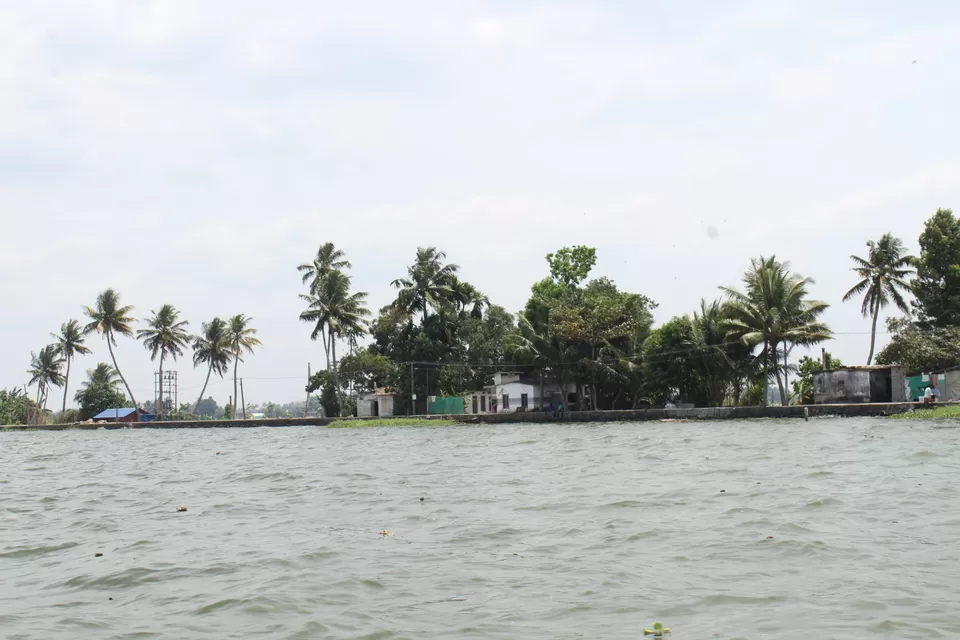 Photo of Road Trip to Wayanad,Kerala and Ooty by Anil Kumar Chavala
