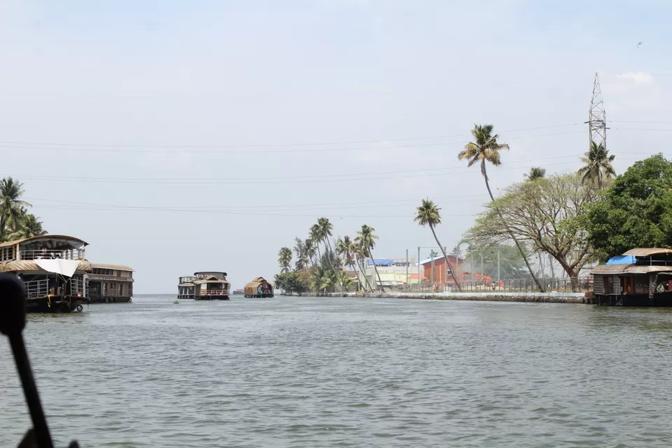 Photo of Road Trip to Wayanad,Kerala and Ooty by Anil Kumar Chavala