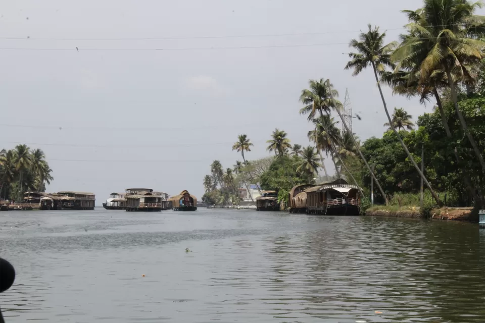 Photo of Road Trip to Wayanad,Kerala and Ooty by Anil Kumar Chavala