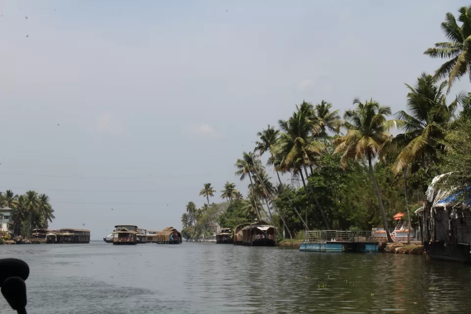 Photo of Road Trip to Wayanad,Kerala and Ooty by Anil Kumar Chavala