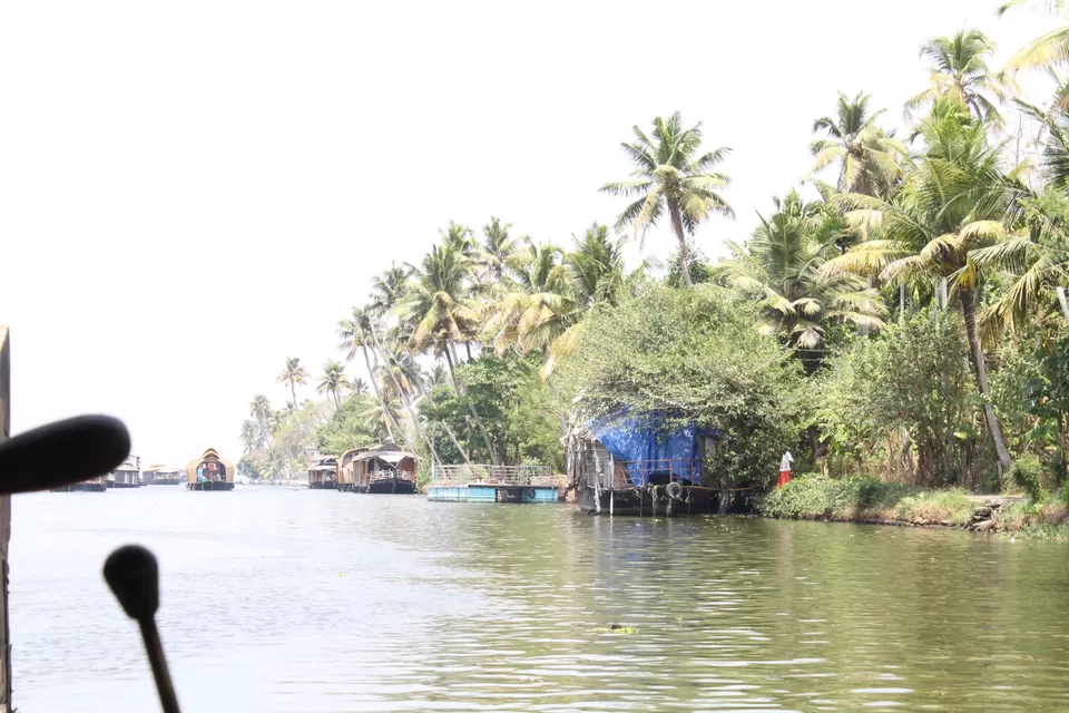 Photo of Road Trip to Wayanad,Kerala and Ooty by Anil Kumar Chavala