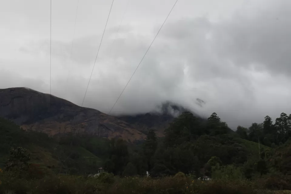 Photo of Road Trip to Wayanad,Kerala and Ooty by Anil Kumar Chavala
