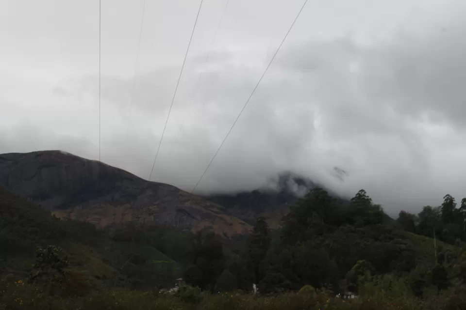Photo of Road Trip to Wayanad,Kerala and Ooty by Anil Kumar Chavala