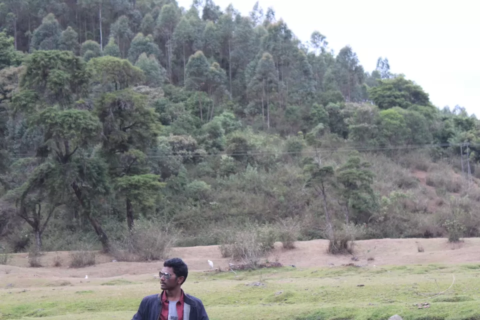 Photo of Road Trip to Wayanad,Kerala and Ooty by Anil Kumar Chavala