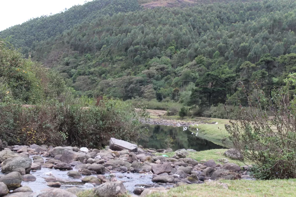 Photo of Road Trip to Wayanad,Kerala and Ooty by Anil Kumar Chavala