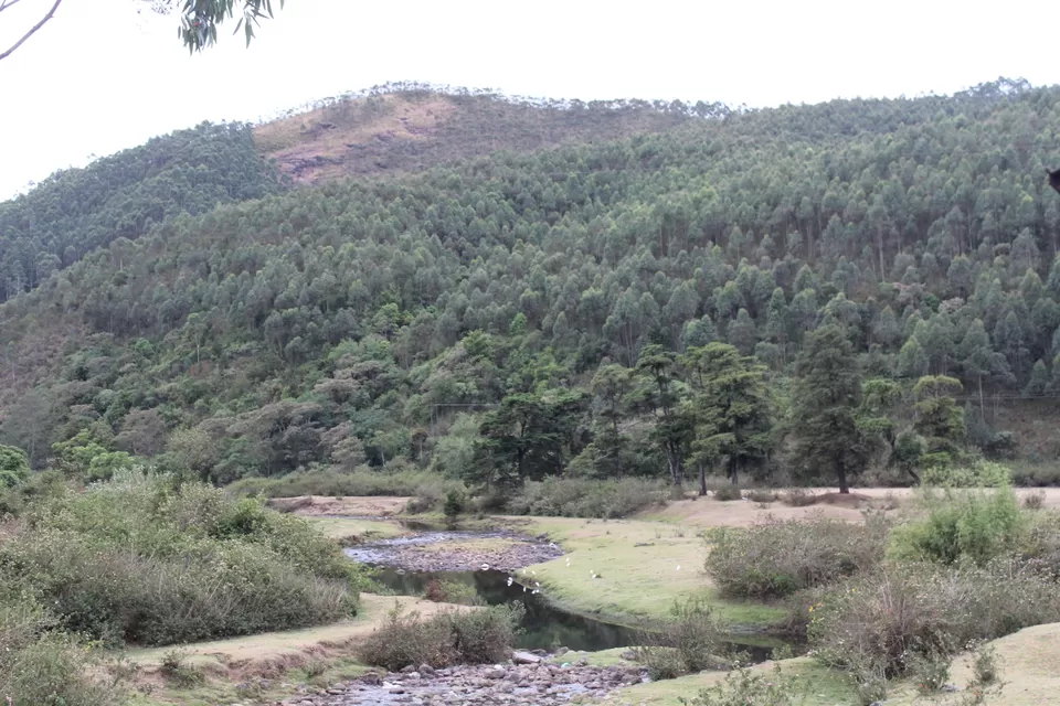 Photo of Road Trip to Wayanad,Kerala and Ooty by Anil Kumar Chavala