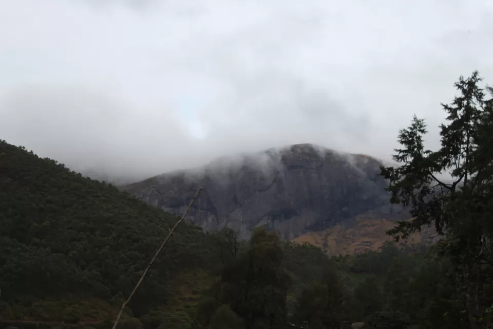 Photo of Road Trip to Wayanad,Kerala and Ooty by Anil Kumar Chavala