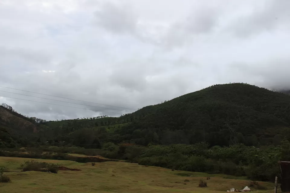 Photo of Road Trip to Wayanad,Kerala and Ooty by Anil Kumar Chavala