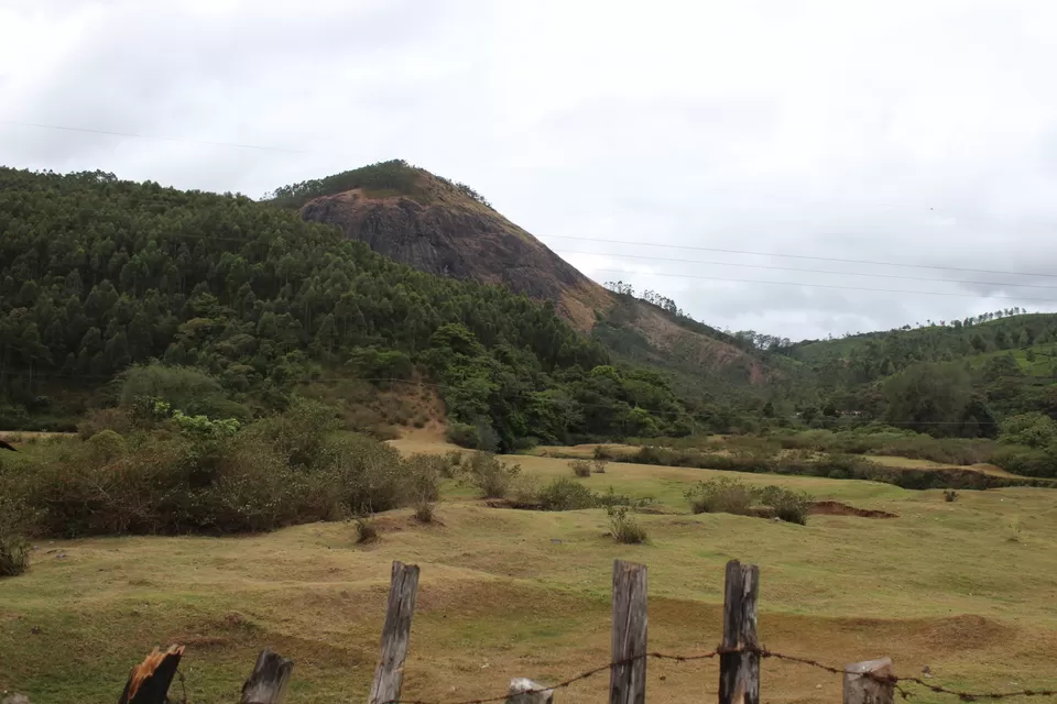 Photo of Road Trip to Wayanad,Kerala and Ooty by Anil Kumar Chavala