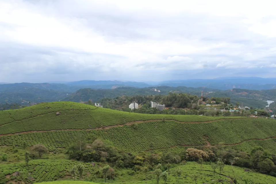 Photo of Road Trip to Wayanad,Kerala and Ooty by Anil Kumar Chavala