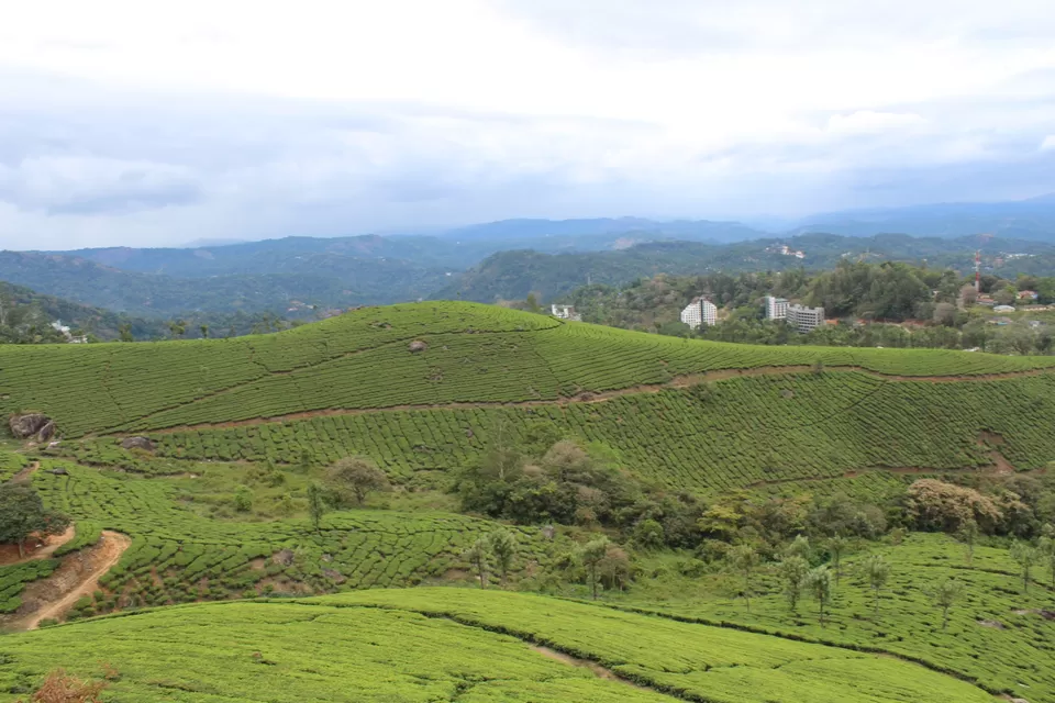 Photo of Road Trip to Wayanad,Kerala and Ooty by Anil Kumar Chavala
