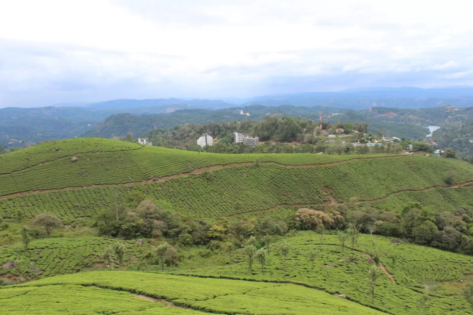 Photo of Road Trip to Wayanad,Kerala and Ooty by Anil Kumar Chavala