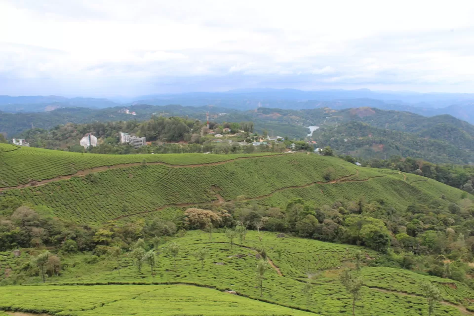 Photo of Road Trip to Wayanad,Kerala and Ooty by Anil Kumar Chavala