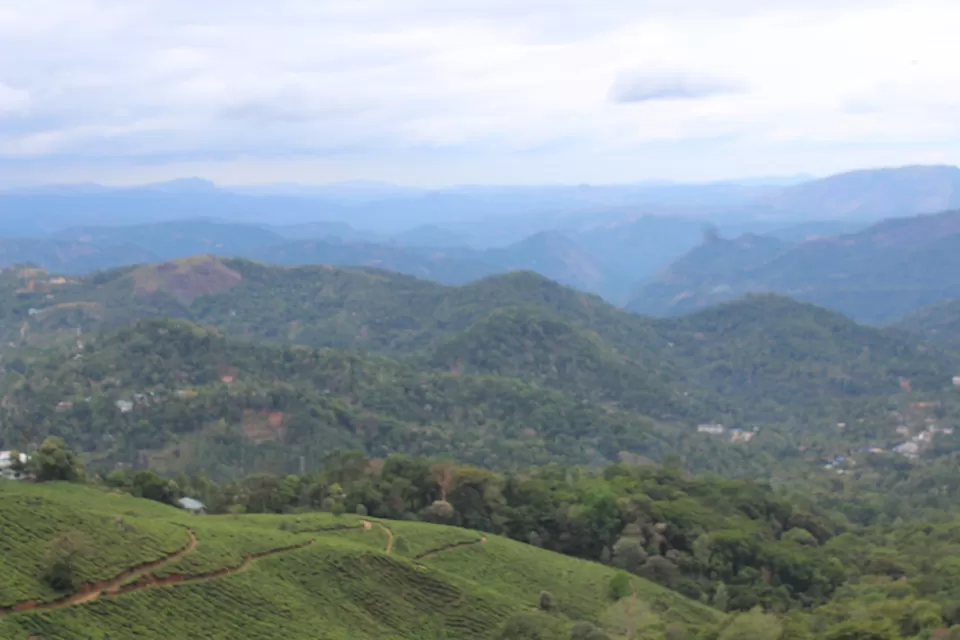 Photo of Road Trip to Wayanad,Kerala and Ooty by Anil Kumar Chavala