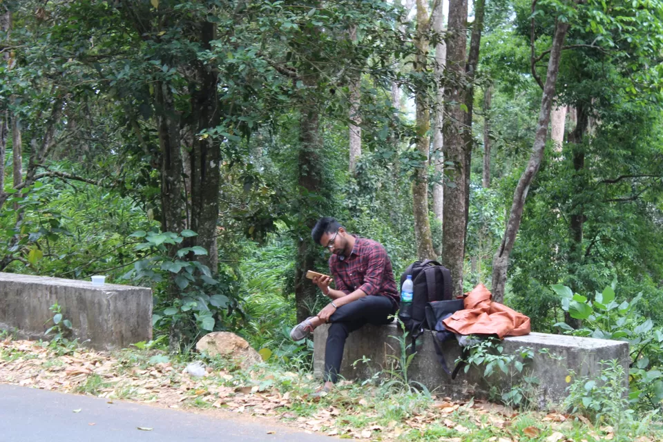 Photo of Road Trip to Wayanad,Kerala and Ooty by Anil Kumar Chavala