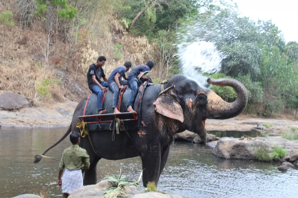 Photo of Road Trip to Wayanad,Kerala and Ooty by Anil Kumar Chavala