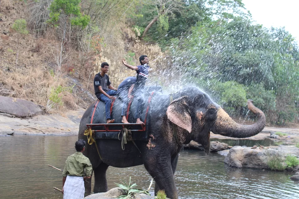 Photo of Road Trip to Wayanad,Kerala and Ooty by Anil Kumar Chavala