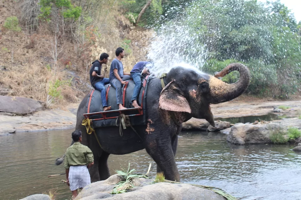 Photo of Road Trip to Wayanad,Kerala and Ooty by Anil Kumar Chavala