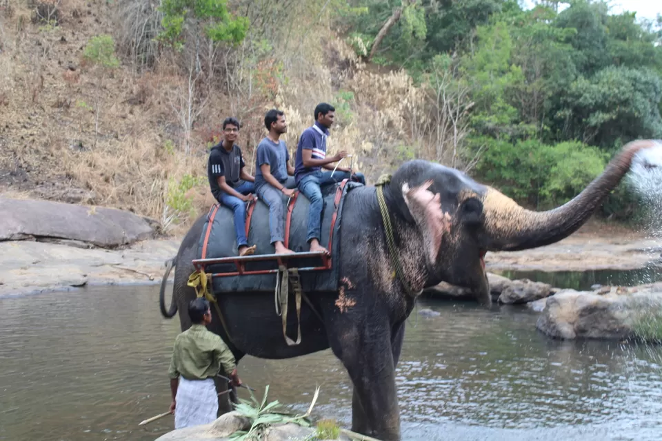 Photo of Road Trip to Wayanad,Kerala and Ooty by Anil Kumar Chavala