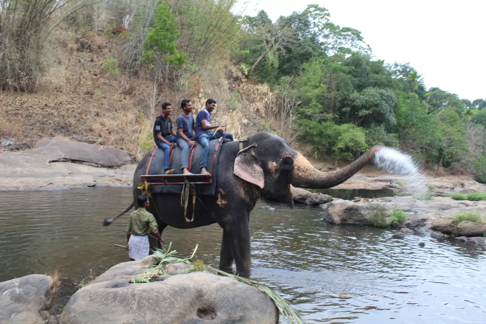 Photo of Road Trip to Wayanad,Kerala and Ooty by Anil Kumar Chavala